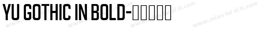 Yu Gothic in BOLD字体转换